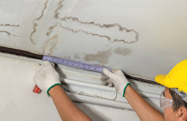 Reliable Sewage Cleanup contractor in Maury, NC by Water Damage Irwin